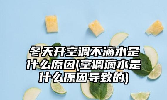 如何应对开空调引起的空气干燥问题（有效解决开空调后空气干燥的困扰）